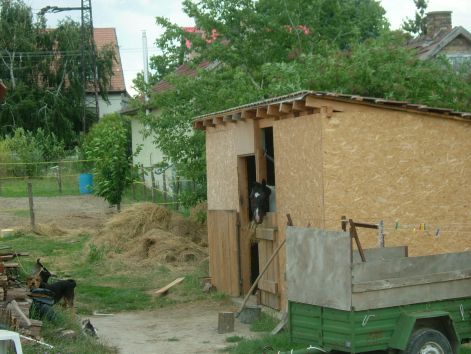 istallo_karam.jpg